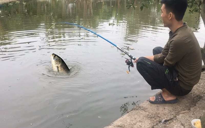 Mơ thấy câu cá có thể giải mã thành những con số may mắn