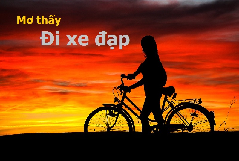 Mơ Thấy Xe Đạp Bị Hỏng – Xe Đạp Điện Đánh Con Gì?