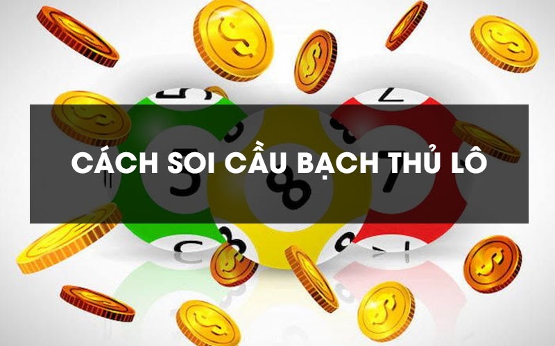 Bạch thủ lô được chọn lựa như thế nào?