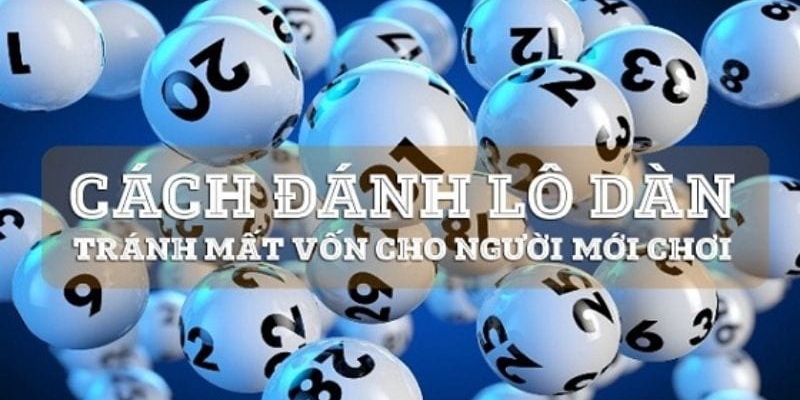 Các loại dàn đề cần biết