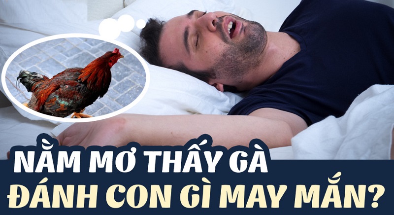 Chọn con số may mắn khi mơ thấy gà