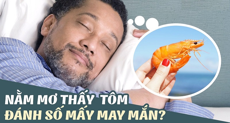 Mơ thấy tôm đánh con gì? Con tôm số mấy số đề?