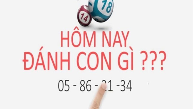 Điều không nên khi gặp lô đầu câm 8