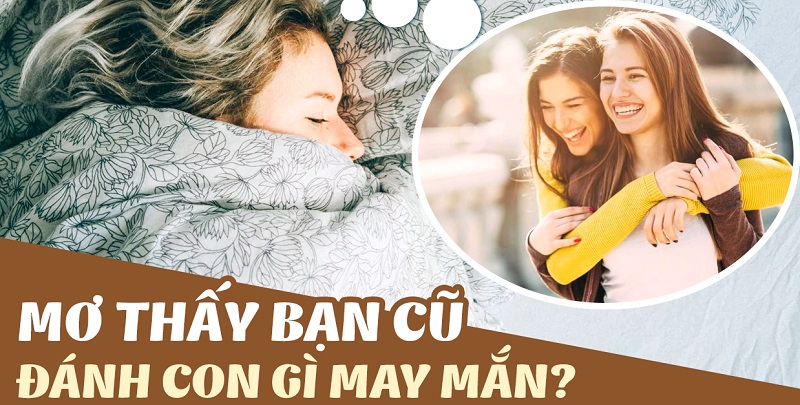 Mơ thấy bạn cũ đánh con gì may mắn?