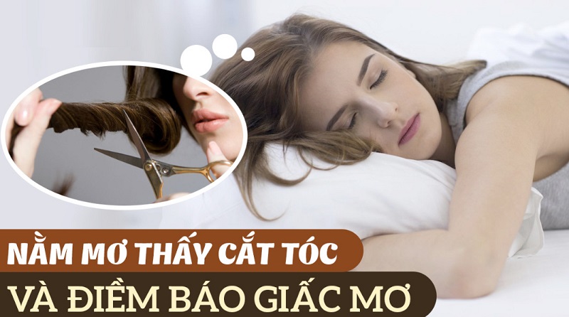 Mơ thấy cắt tóc đánh con gì? Giải mã giấc mơ cắt tóc