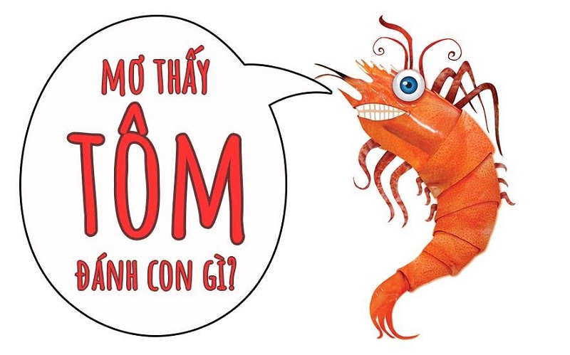 Mơ thấy tôm nên đánh con gì để gặt hái thành công?