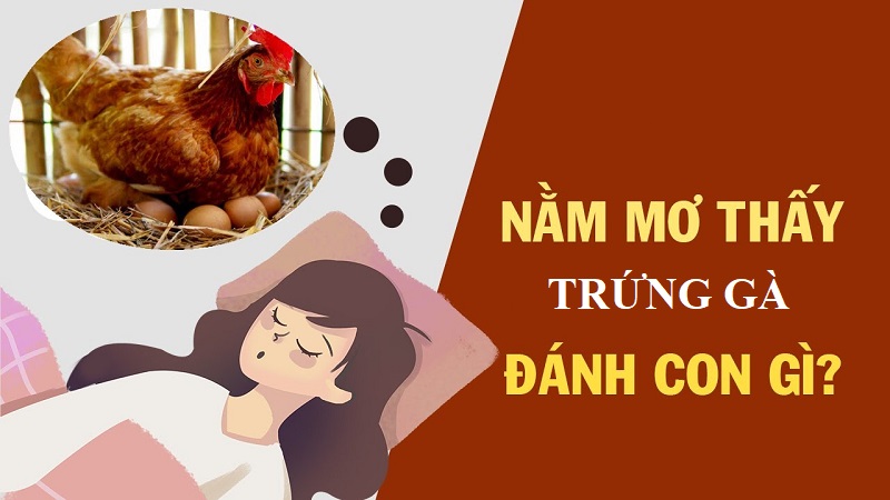 Mơ thấy trứng gà tương ứng những con số lô đề may mắn