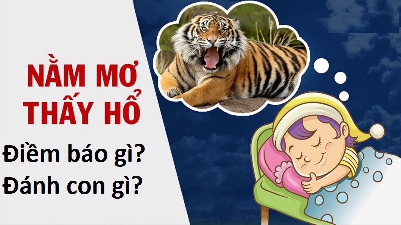 Ngủ mơ thấy hổ, mơ thấy cọp đánh con gì? Mơ gặp hổ điềm gì?