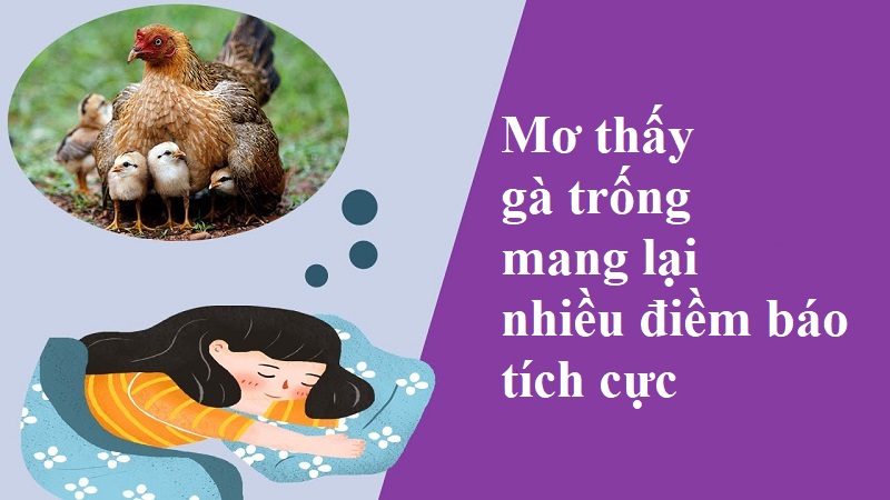 Mơ thấy gà trống mang lại những điềm báo tích cực