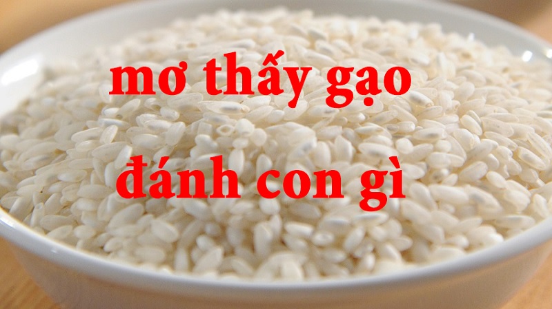 Mơ thấy gạo là điềm báo gì? Mơ thấy gạo đánh con gì?