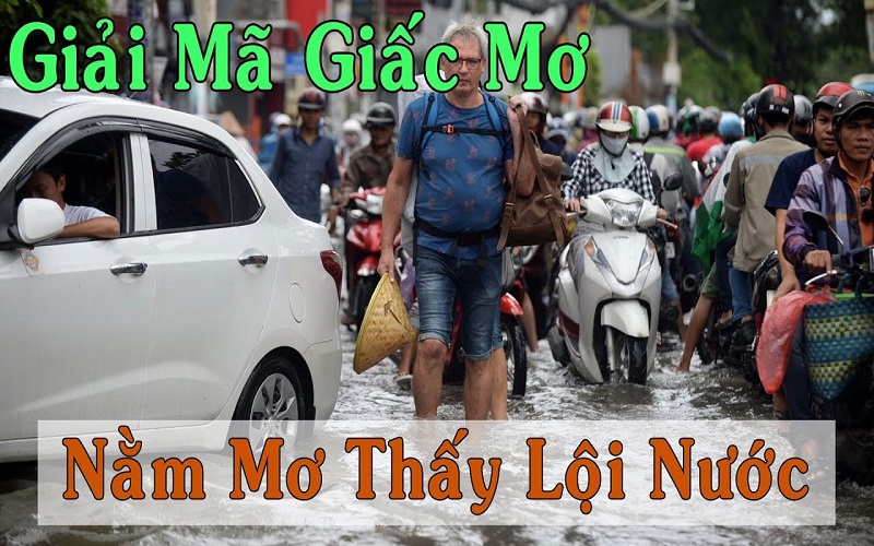 Mơ thấy lội nước đánh con gì? Mơ thấy lội sông bắt cá