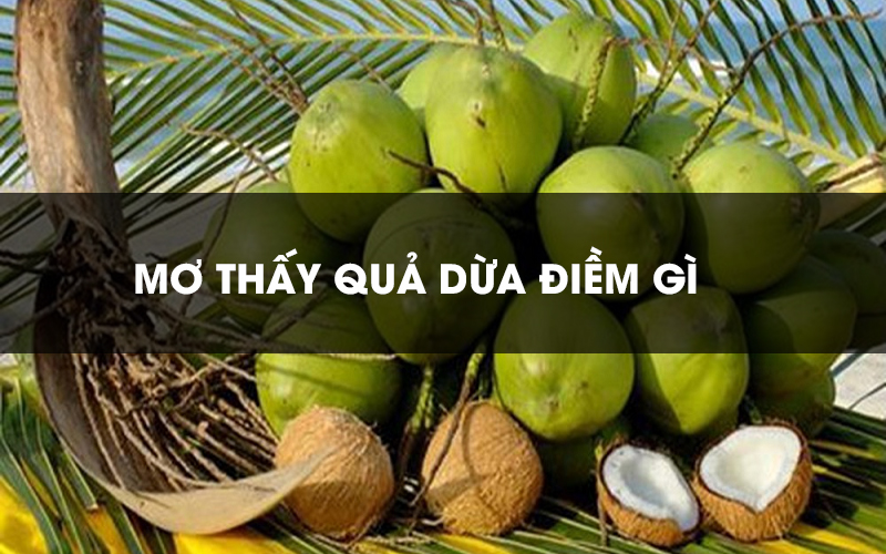 Tìm hiểu ý nghĩa giấc mơ thấy quả dừa