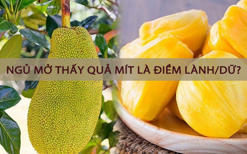 Mơ thấy quả mít đánh con gì? Mơ thấy mít chín đánh số gì?