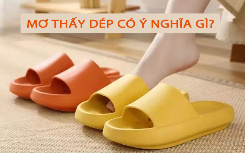 Mơ thấy dép đánh con gì? Giải mã giấc mơ thấy đôi dép