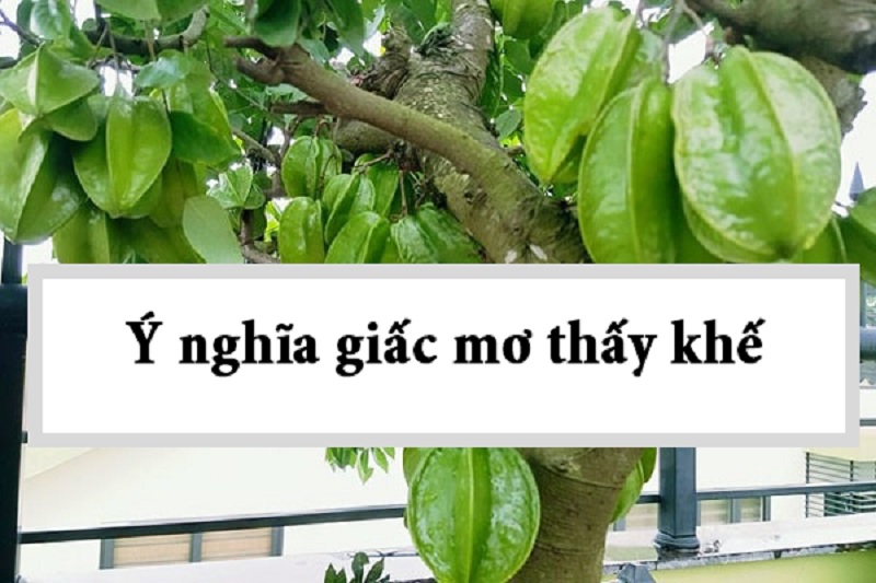 Mơ thấy cây khế đánh con gì? Mơ thấy hái khế trên cây