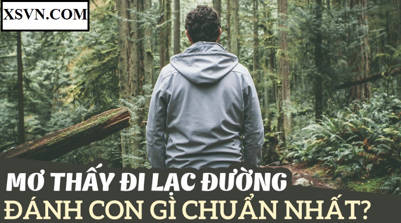 Có nhiều con số liên quan giấc mơ bị lạc đường