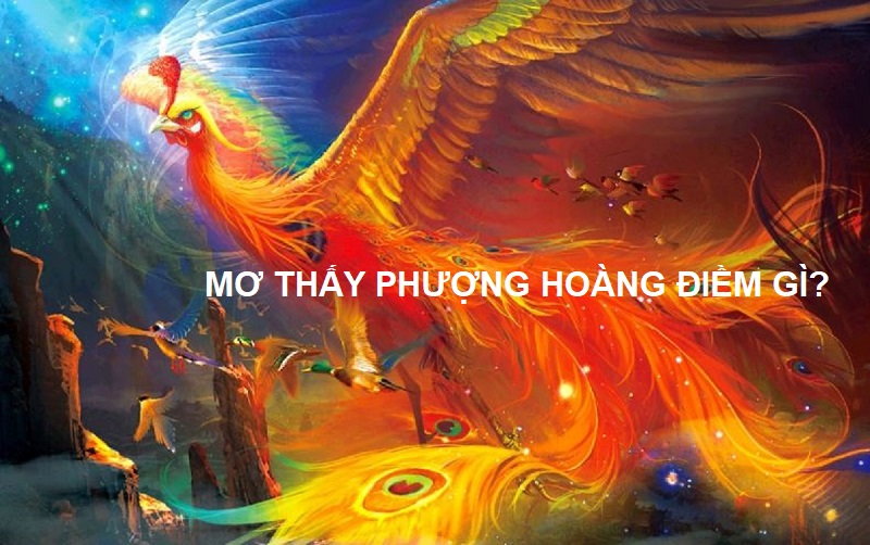 Mơ thấy phượng hoàng đánh con gì? Mơ thấy chim phượng