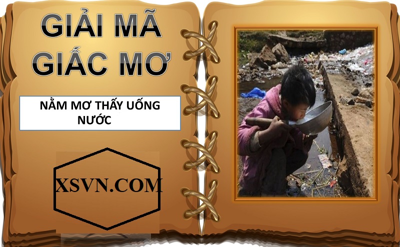 Mơ thấy uống nước đánh con gì? Giải mã giấc mơ uống nước