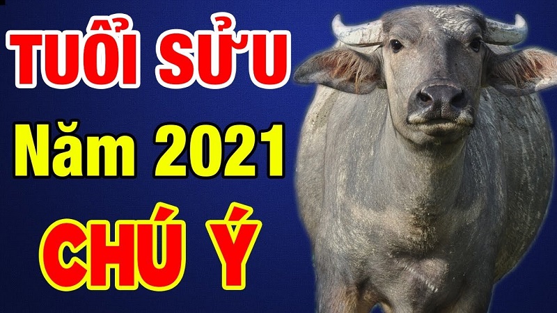 Tử vi tuổi Sửu 2021 - Năm 2021 tuổi Sửu gặp nhiều gian nan cần chú ý