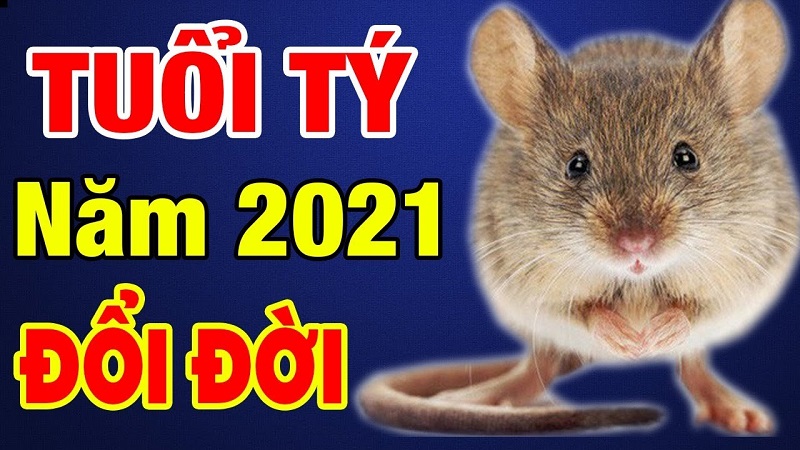 Tử vi tuổi Tý năm 2021 - Năm 2001 tuổi Tý gặp nhiều may mắn đổi đời