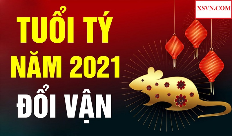 Tử vi tuổi Tý năm 2021 -Tuổi Bính Tý 2021 là một năm đầy triển vọng 