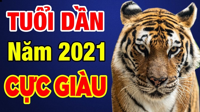 Tử vi tuổi Dần 2021 - Tùy từng tuổi Dần mà tử vi năm 2021 cũng sẽ khác nhau