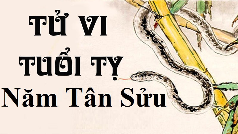 Tử vi tuổi Tỵ năm 2021 đầy thăng hoa