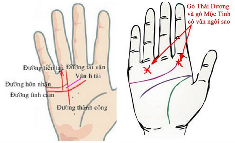 Tướng bàn tay phú quý có đặc điểm gì khác biệt so vời người thường?