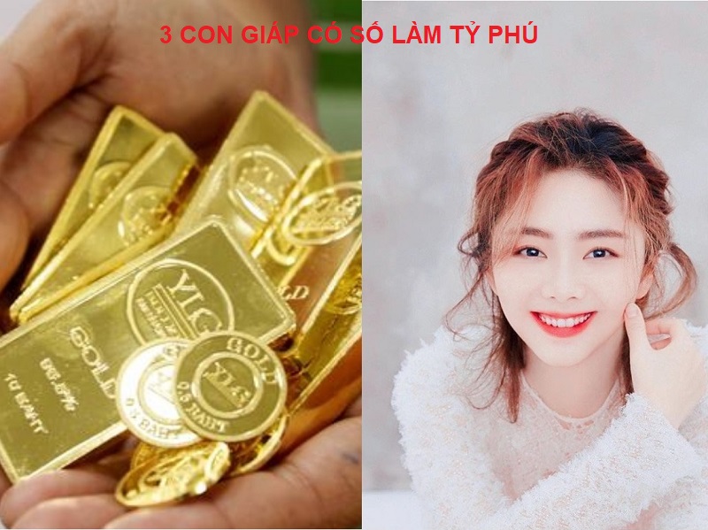 3 Con giáp có số làm tỷ phú là con giáp nào?