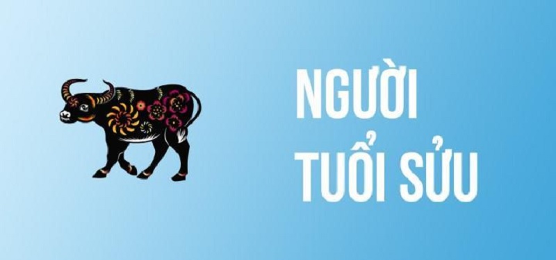 Những con giáp thành công đến muộn cần phải kiên trì, nỗ lực