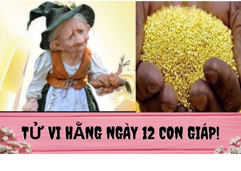 tử vi hàng ngày 12 con giáp