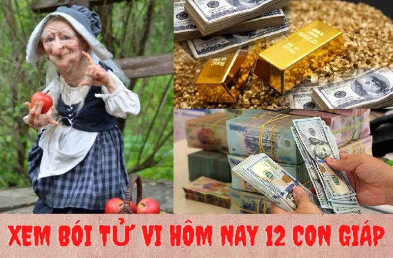 xem bói tử vi 12 con giáp 8-8