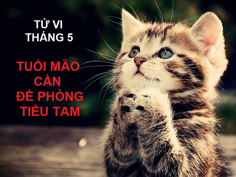 12 con giáp nên làm gì trong tháng Cửu Độc với tuổi Mão?