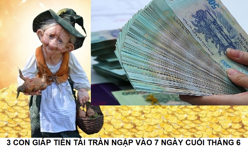 3 Con giáp tiền tài tràn ngập vào 7 ngày cuối tháng 6 là con giáp nào?