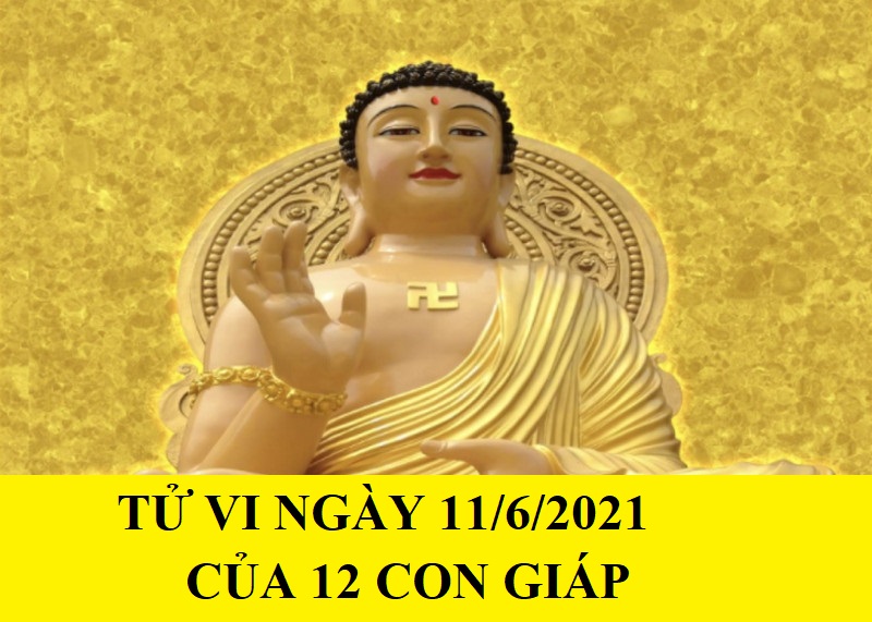 Xem tử vi ngày 11/6/2021 của 12 con giáp: Tuổi Mão công việc hanh thông