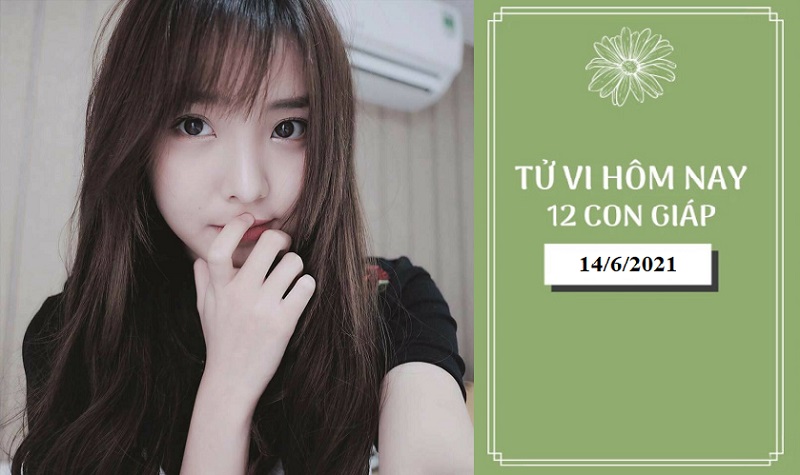 Tử vi ngày 14/6/2021 của 12 con giáp - Tuổi Dậu tài lộc có chút biến động