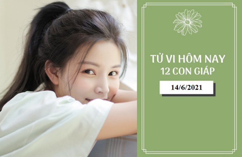 Tử vi ngày 14/6/2021 của 12 con giáp - Tuổi Ngọ công việc thuận lợi