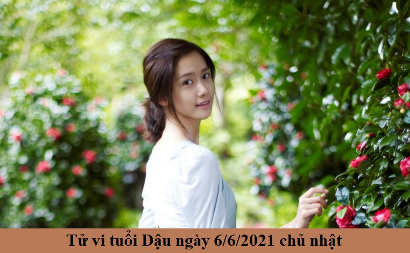 Tử vi ngày 6/6/2021 của 12 con giáp - Tử vi tuổi Dậu hôm nay ngày 6/6/2021