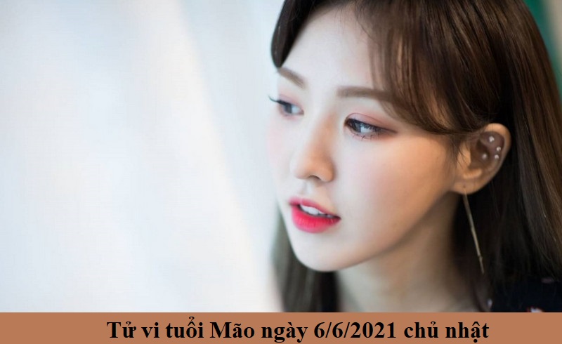 Tử vi ngày 6/6/2021 của 12 con giáp tuổi Mão