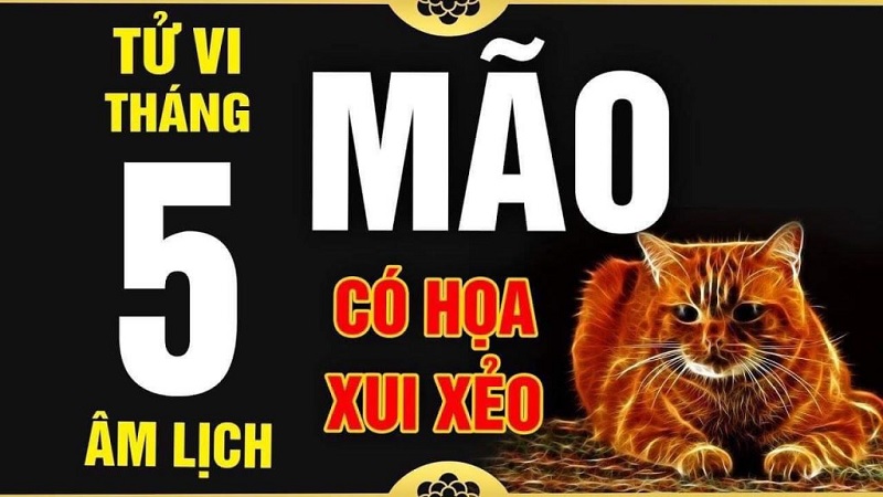 Tử vi tháng 5 âm lịch năm 2021 của 12 con giáp: Tuổi Ngọ sống có đức sẽ có tiền 