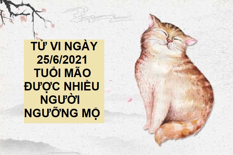 Tử vi ngày 25/6/2021 tuổi Mão