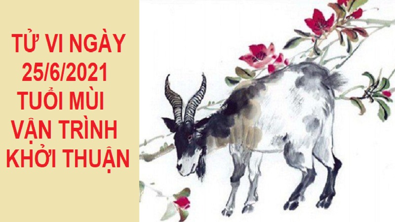 Tử vi ngày 25/6/2021 tuổi Mùi