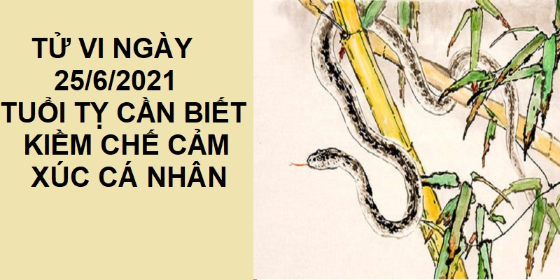 Tử vi ngày 25/6/2021 tuổi Tỵ