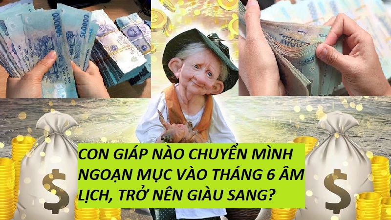 Tháng 6 âm lịch: TOP 3 con giáp chuyển mình một cách ngoạn mục, đi một bước gặp quý nhân, kiếm tiền không ai sánh bằng