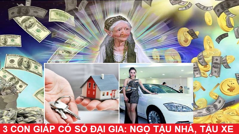 3 Con giáp có số đại gia trong 2 năm tới: Ngọ tậu nhà, Dần sống trong nhung lụa