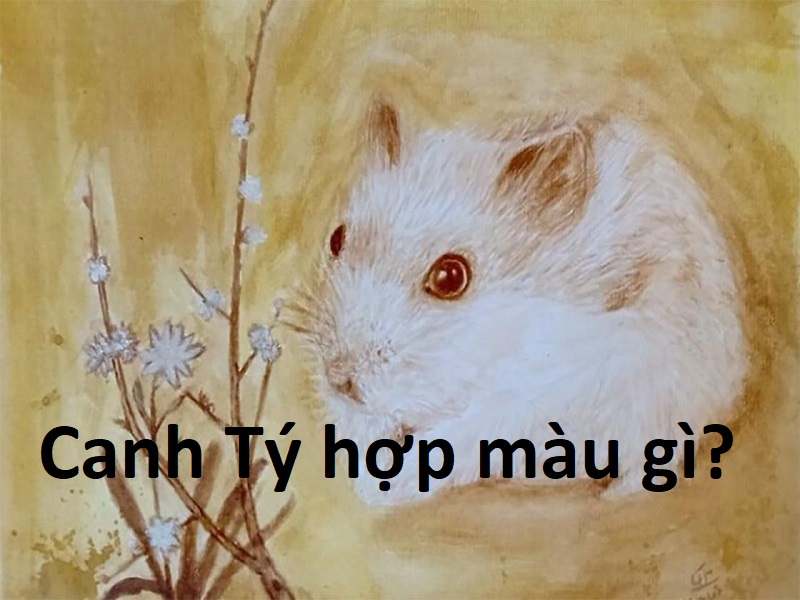 nam-1960-tuoi-gi-tuoi-1960-hop-mau-gi