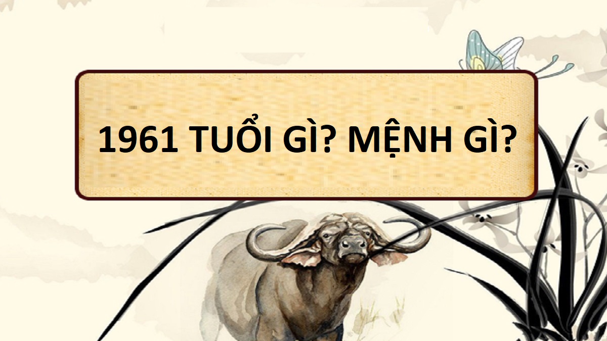 Người sinh năm 1961 tuổi gì, mệnh gì và hợp với màu nào?