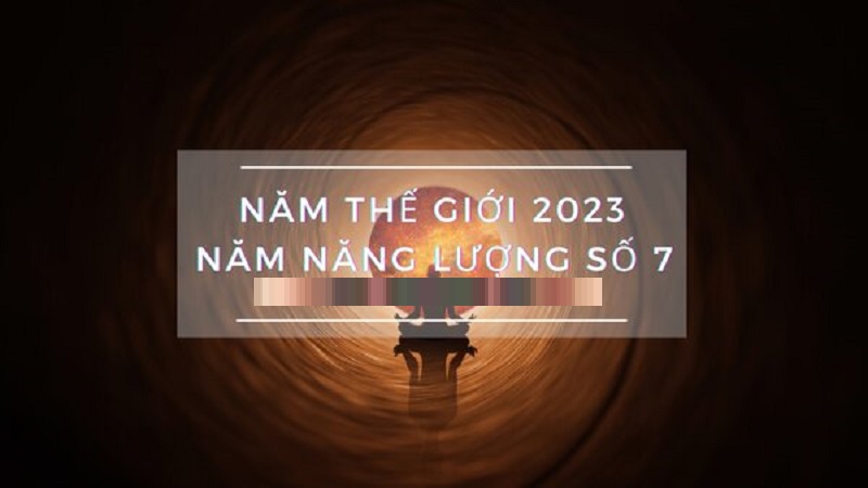 tong-quan-ve-nam-the-gioi-so-7