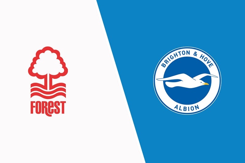 Link trực tiếp Nottingham vs Brighton 1h30 ngày 27/4 Full HD
