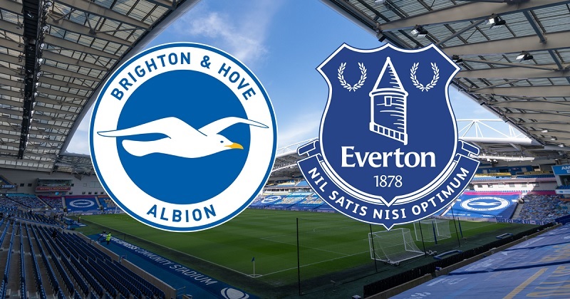 Link trực tiếp Brighton vs Everton 23h30 ngày 8/5 Full HD